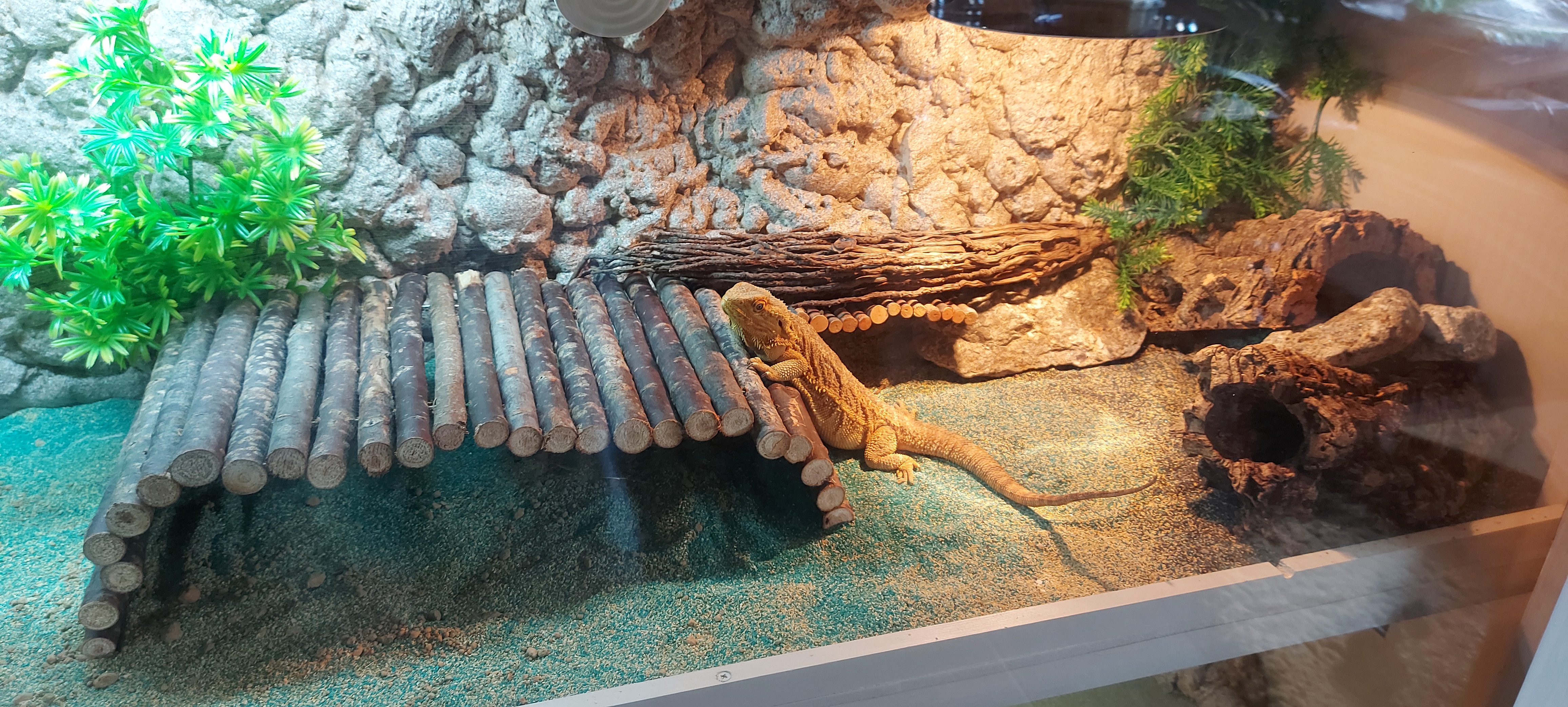 Customer needed a lizard vivarium to fit a specific gap